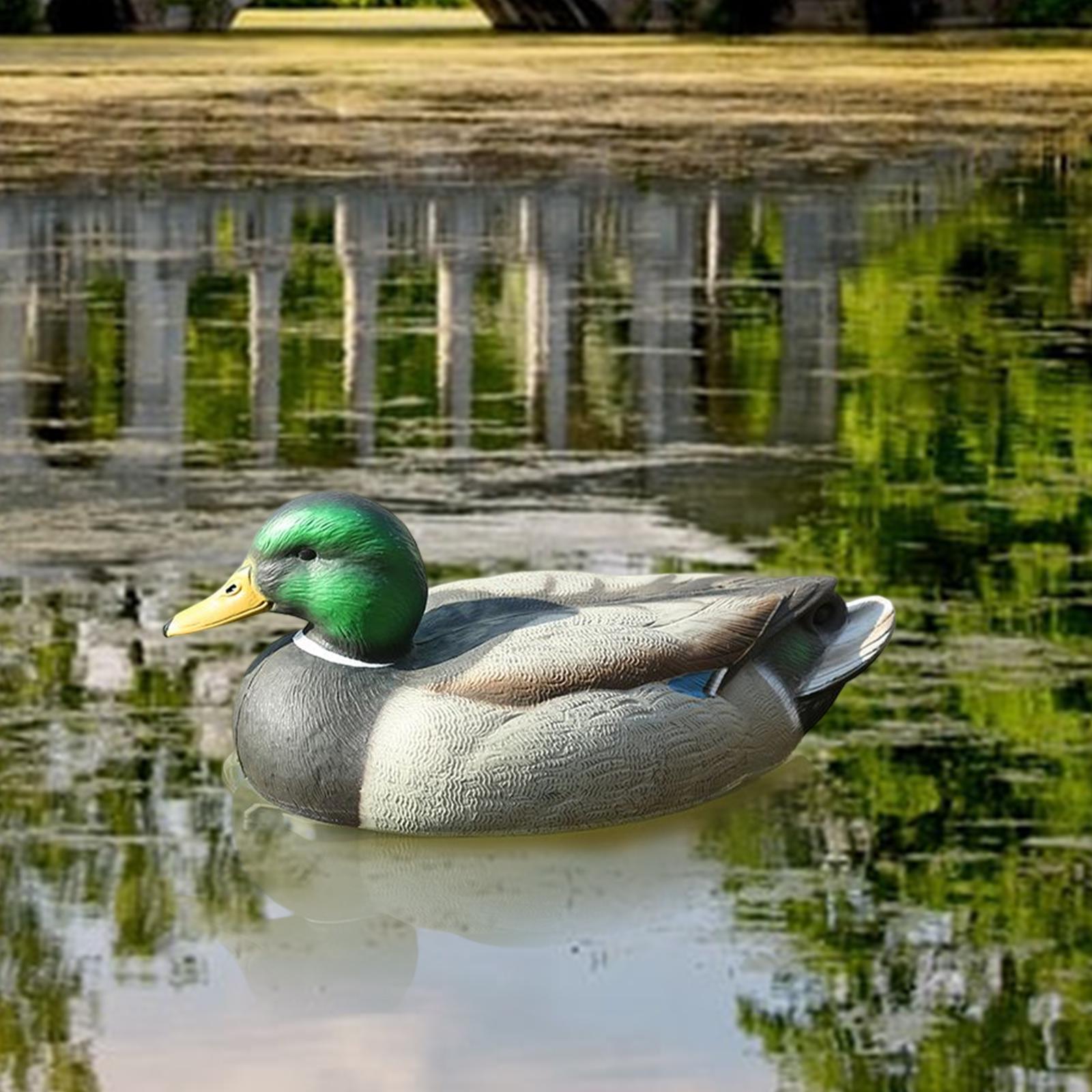 Decoy Duck Plastic - Señuelo de Plástico Anatómicamente Perfecto de