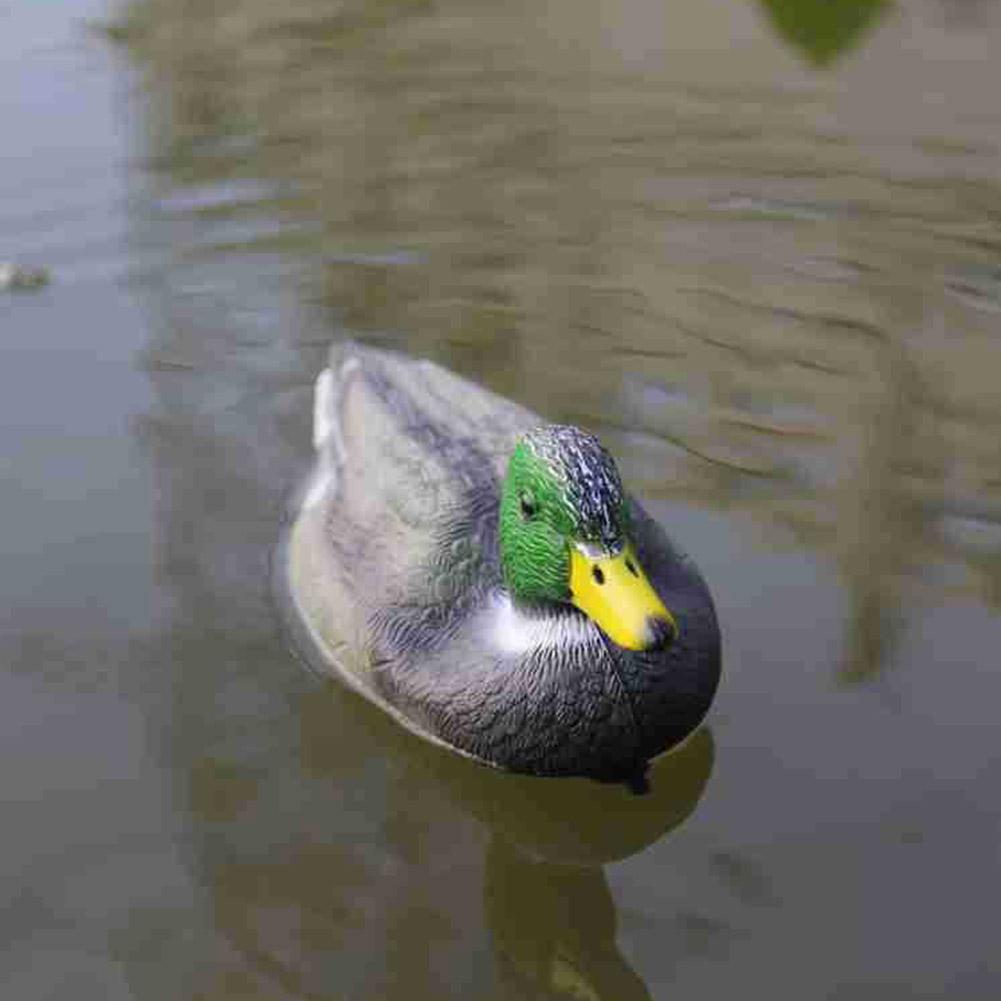 Señuelo de Pato Flotante, Simu - Decoy Duck Plastic reseña y precio
