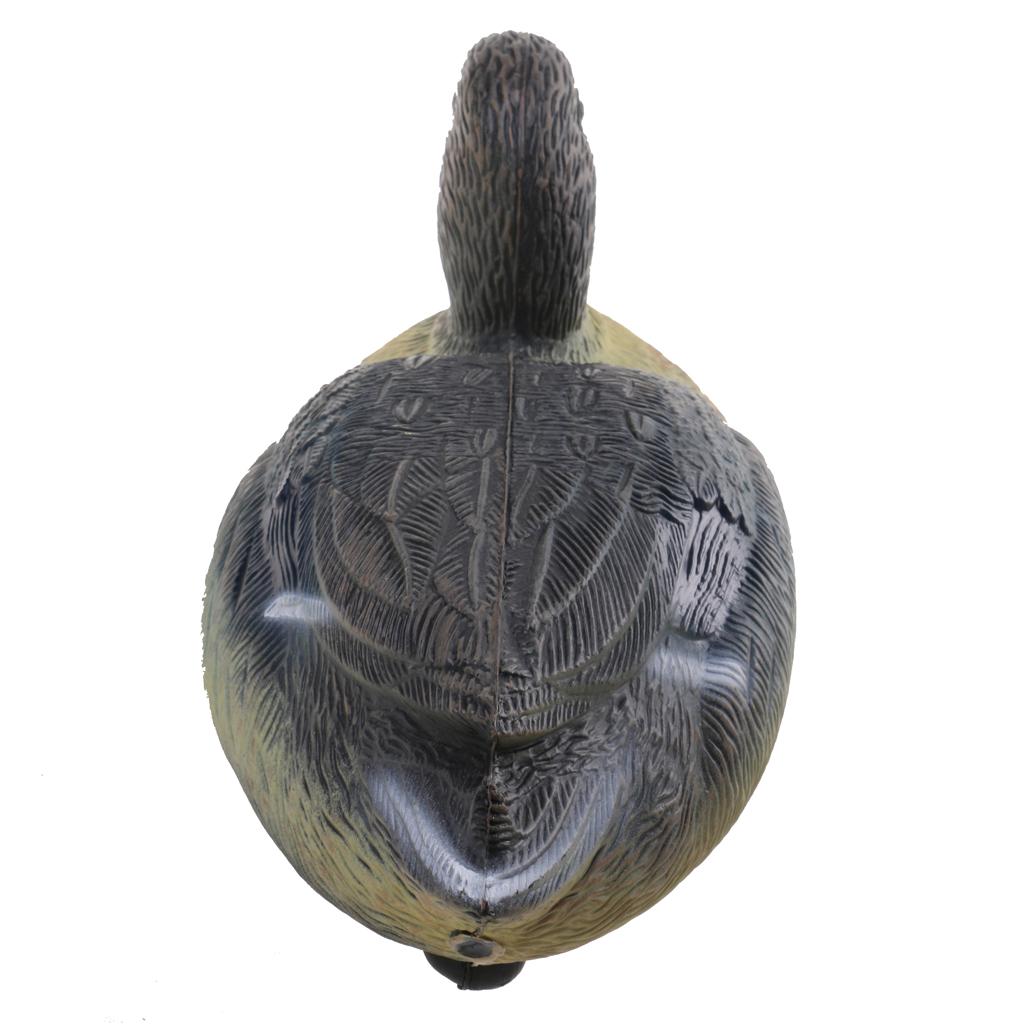 Señuelo de Pato de Plástico Re - Decoy Duck Plastic reseña y precio