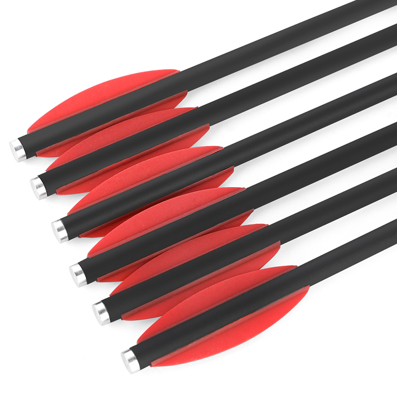 Flecha de carbono mixta de 6/1 - Crossbow Bolt Broadhead reseña y precio