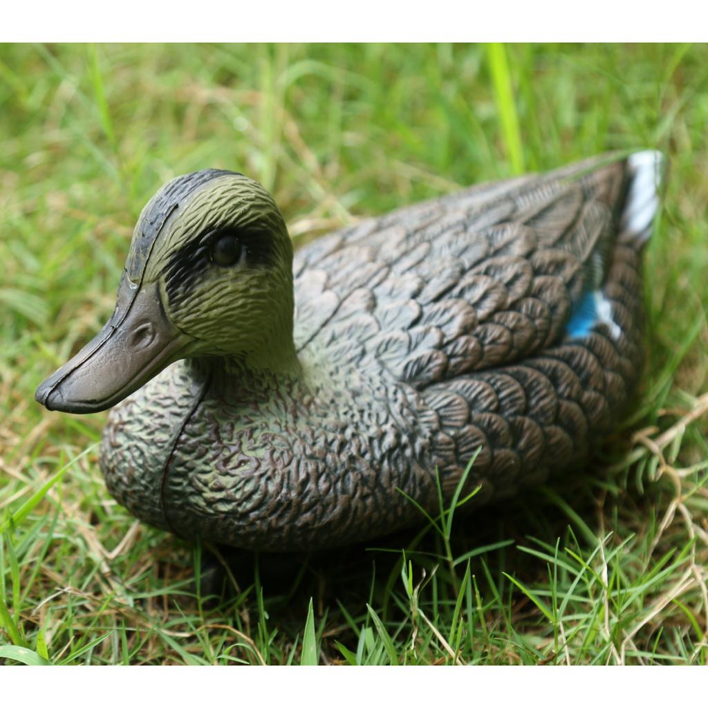 Señuelo de Caza de Aves Falsas - Decoy Duck Plastic reseña y precio