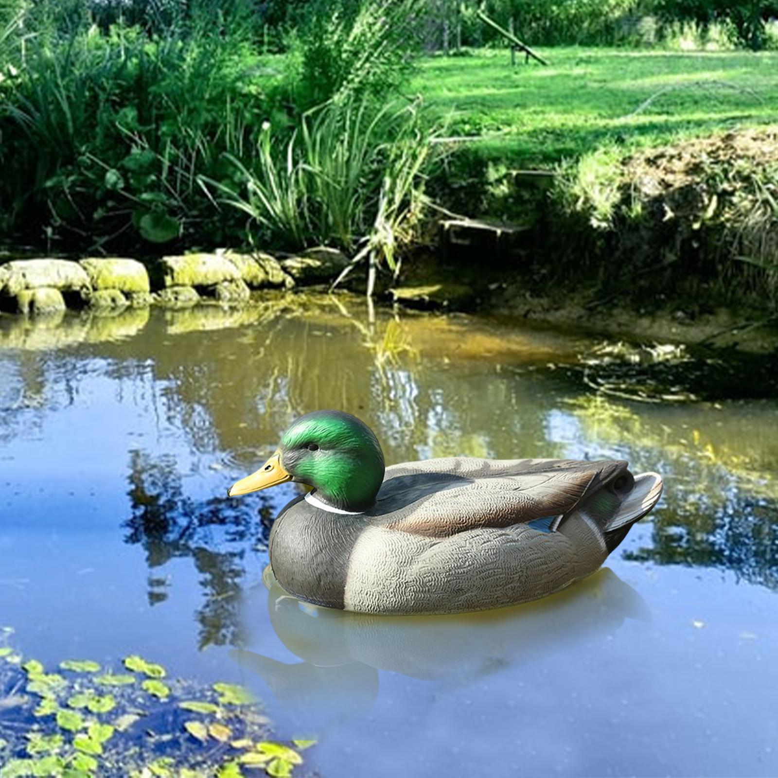 Señuelo de Plástico Anatómicam - Decoy Duck Plastic reseña y precio