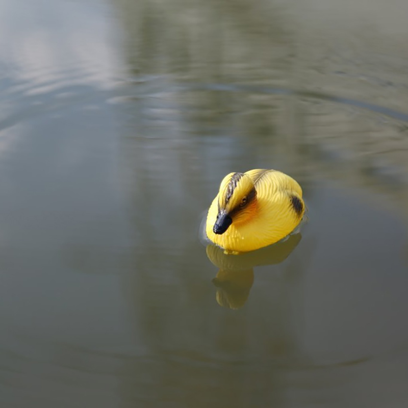 Pato flotante patitos estanque - Decoy Duck Plastic reseña y precio